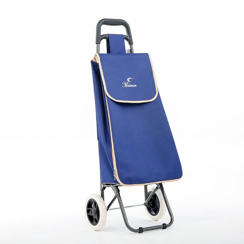 1301 Shopping cart 1301 Shopping cart